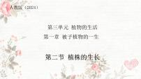 生物七年级下册（2024）植株的生长精品课件ppt