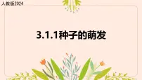 人教版（2024）七年级下册（2024）种子的萌发一等奖ppt课件