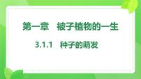 初中生物人教版（2024）七年级下册（2024）种子的萌发精品ppt课件