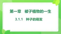 初中生物人教版（2024）七年级下册（2024）种子的萌发精品ppt课件