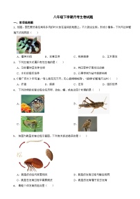 江西省九江市2025年八年级下学期月考生物试题含答案