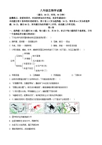 山东省青岛市李沧区2024-2025学年八年级上学期期末生物试题（原卷版+解析版）