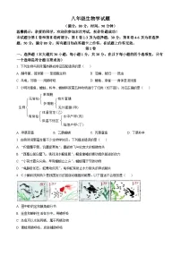 山东省青岛市李沧区2024-2025学年八年级上学期期末生物试题（原卷版+解析版）