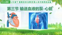初中生物人教版（2024）七年级下册（2024）输送血液的泵—心脏多媒体教学课件ppt