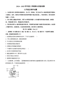 山东省日照市岚山区2024-2025学年七年级上学期期末生物试题（原卷版+解析版）