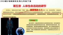 初中生物冀少版（2024）七年级下册（2024）神经系统的组成集体备课ppt课件