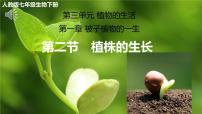 人教版（2024）七年级下册（2024）植株的生长优秀课件ppt