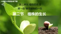 人教版（2024）七年级下册（2024）植株的生长优秀课件ppt