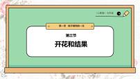 初中人教版（2024）开花和结果评优课课件ppt