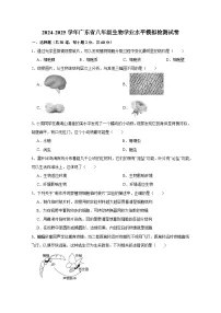 2024-2025学年广东省八年级生物学业水平模拟检测试卷（附答案）