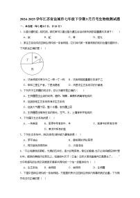 2024-2025学年江苏省盐城市七年级下册3月月考生物检测试题（附答案）