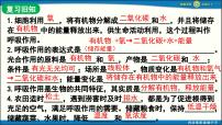 初中生物人教版（2024）七年级下册（2024）植物在自然界中的作用课文配套ppt课件