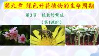 生物七年级下册（2024）植物的繁殖课文课件ppt