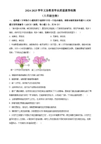 山东省德州市陵城区2024-2025学年八年级上学期期末生物试题（原卷版+解析版）