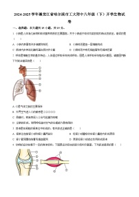 黑龙江省哈工大附中2024-2025学年八年级下学期开学生物试题（原卷版+解析版）