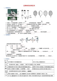 专题02 生物体的结构层次-2025年中考生物知识梳理讲义