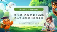 生物七年级上册（2024）植物体的结构层次完美版教学课件ppt