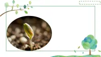 初中生物人教版（2024）七年级下册（2024）种子的萌发多媒体教学ppt课件