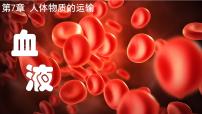 初中血液课文ppt课件