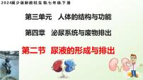 生物七年级下册（2024）尿液的形成和排出评课课件ppt