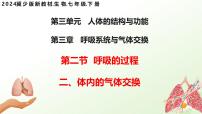 冀少版（2024）七年级下册（2024）体内的气体交换课文内容课件ppt