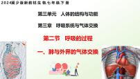 生物七年级下册（2024）肺与外界的气体交换课文配套ppt课件