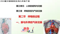 生物七年级下册（2024）肺与外界的气体交换课文配套ppt课件