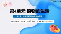 苏教版（2024）七年级下册（2024）植物的繁殖教学ppt课件