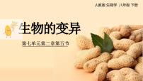 人教版（2024）八年级下册生物的变异课文配套课件ppt