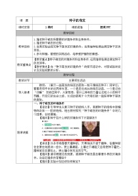 初中生物人教版（2024）七年级下册（2024）种子的萌发教案