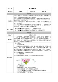 初中生物人教版（2024）七年级下册（2024）开花和结果教案设计