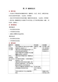 人教版（2024）七年级下册（2024）植株的生长教案