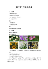 人教版（2024）七年级下册（2024）开花和结果教学设计