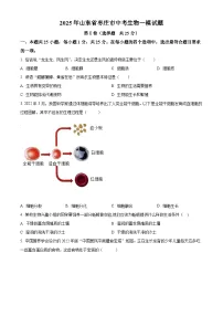2025年山东省枣庄市中考一模生物试题（原卷版+解析版）