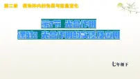 人教版（2024）七年级下册（2024）光合作用课前预习ppt课件