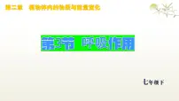 初中生物人教版（2024）七年级下册（2024）呼吸作用教学课件ppt