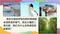 初中生物人教版（2024）七年级下册（2024）光合作用课文内容课件ppt