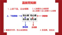 初中生物冀少版（2024）七年级下册（2024）血液循环的途径和功能教学课件ppt