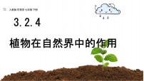 生物七年级下册（2024）植物在自然界中的作用评课ppt课件