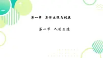 人教版（2024）七年级下册（2024）人的生殖评优课ppt课件