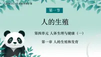 生物七年级下册（2024）人的生殖优秀课件ppt
