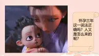 初中生物人教版（2024）七年级下册（2024）人的生殖获奖ppt课件