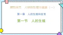 人教版（2024）七年级下册（2024）人的生殖获奖课件ppt