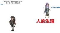 初中生物人教版（2024）七年级下册（2024）人的生殖课文内容ppt课件