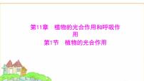 七年级下册（2024）植物的光合作用课文内容课件ppt