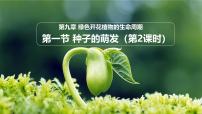 苏教版（2024）七年级下册（2024）种子的萌发教案配套课件ppt