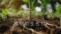 初中生物苏教版（2024）七年级下册（2024）植物的生长授课ppt课件