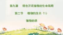 苏教版（2024）七年级下册（2024）植物的生长课前预习课件ppt