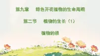 苏教版（2024）七年级下册（2024）植物的生长课前预习课件ppt