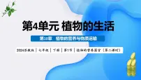 苏教版（2024）七年级下册（2024）植物的营养器官教学ppt课件